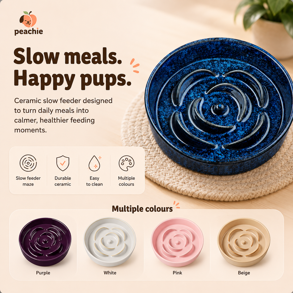 Slow Feeder Bowl