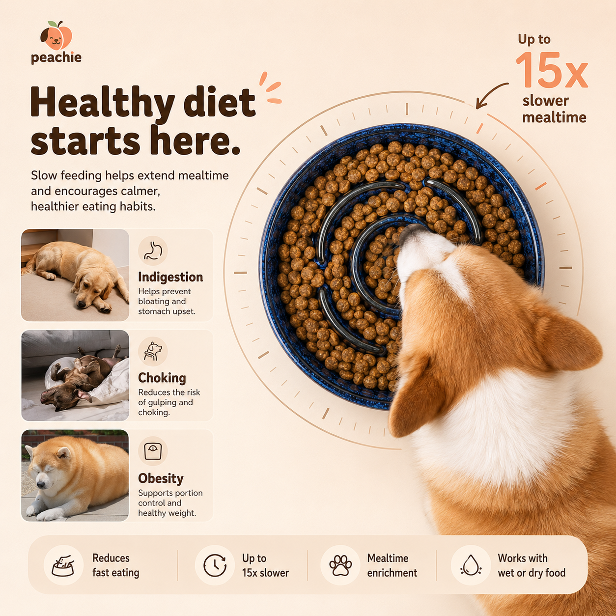 Slow Feeder Bowl
