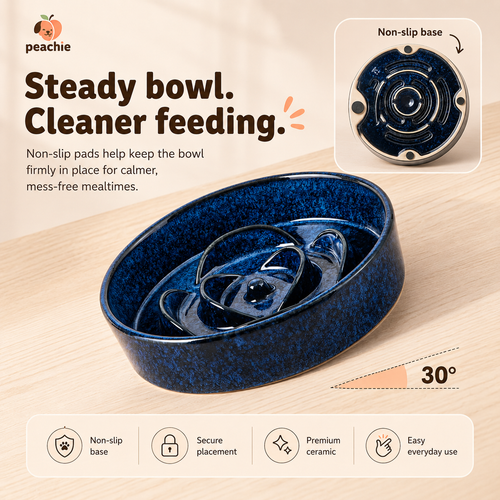 Slow Feeder Bowl