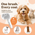 Steam Grooming Brush