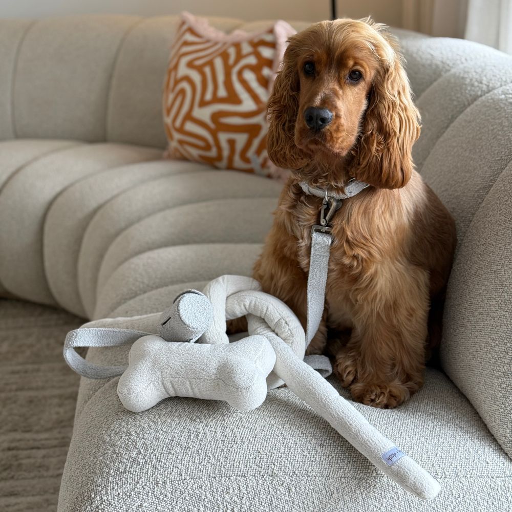 Boucle Knot Toy