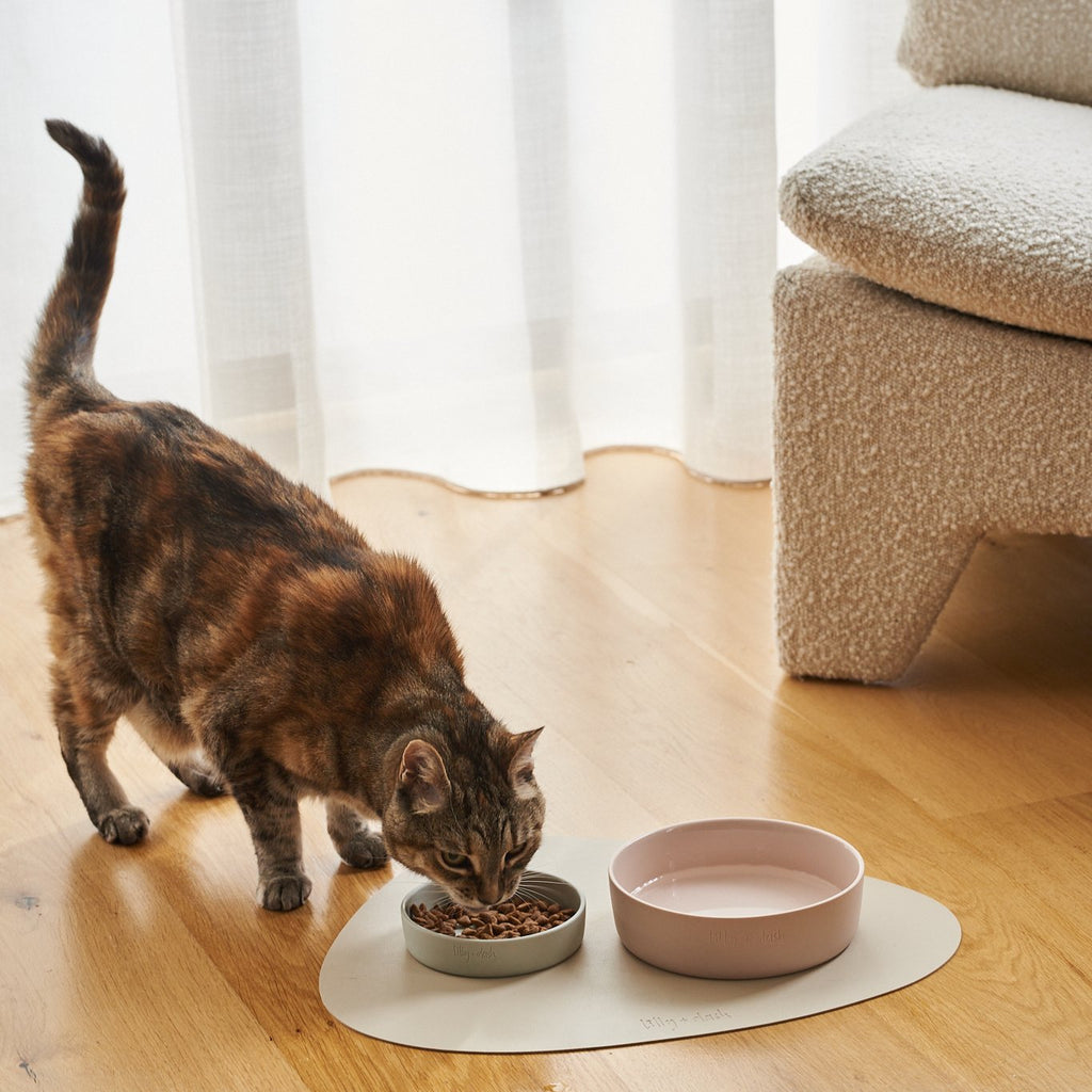 Boucle Cat Collar