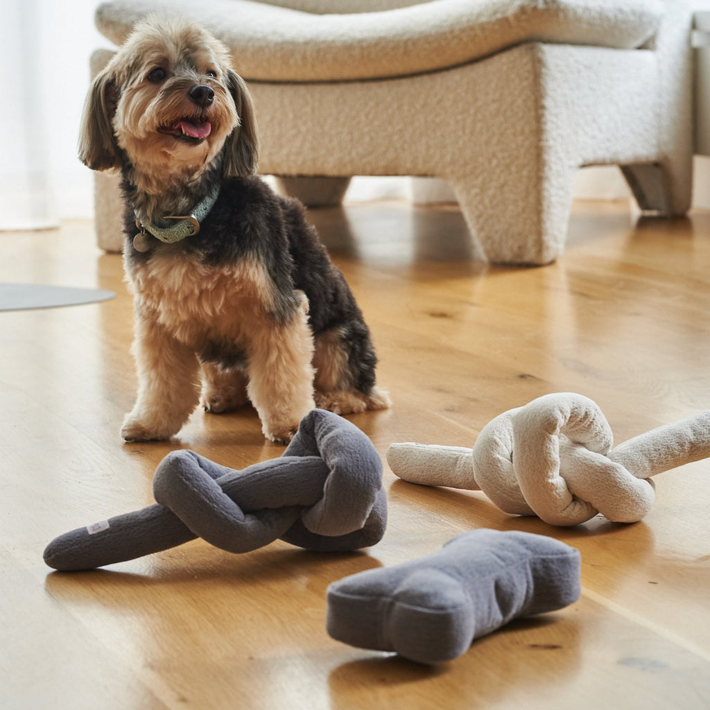 Boucle Knot Toy