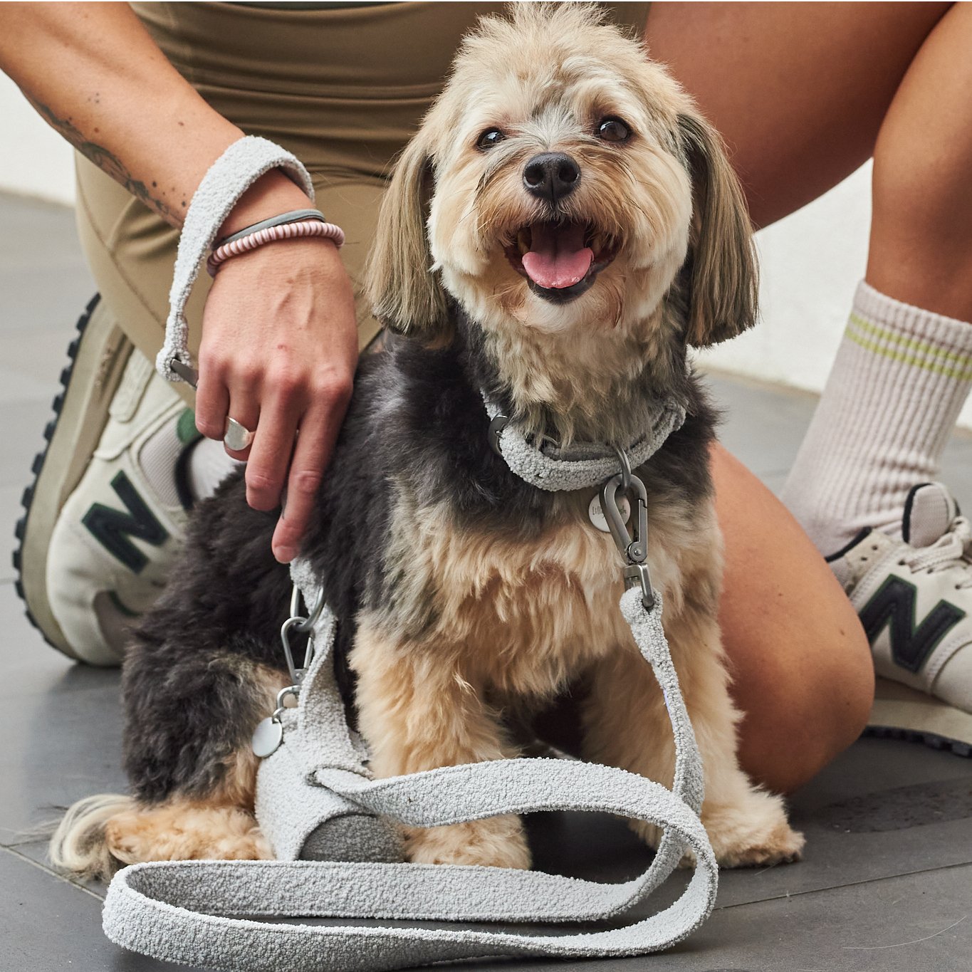 Boucle Leash