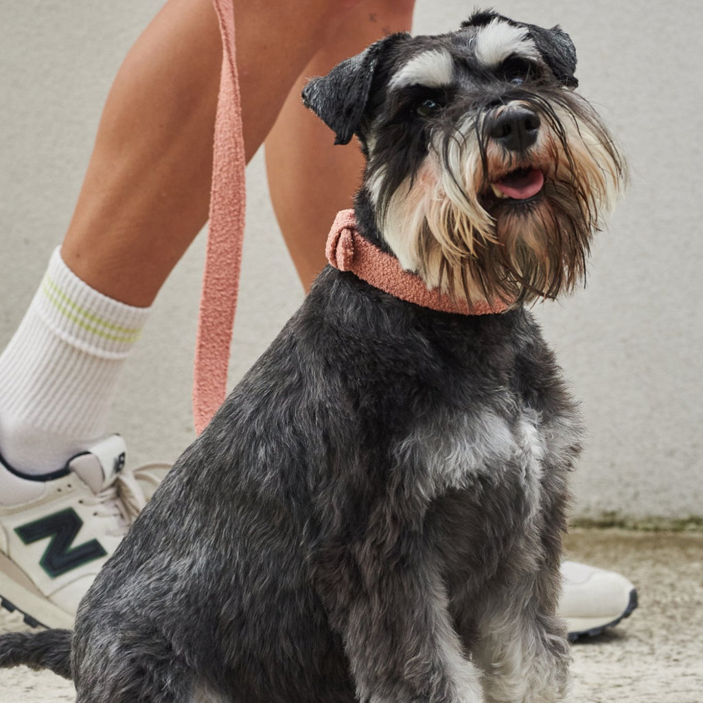 Boucle Leash