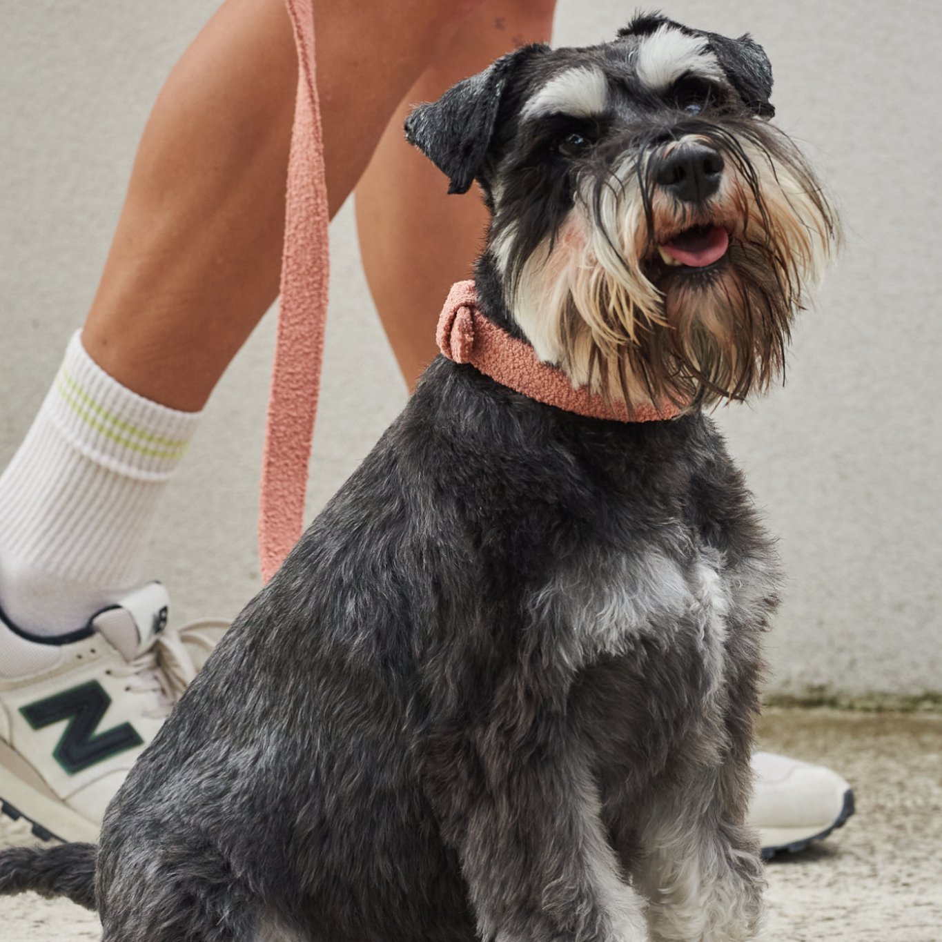 Boucle Leash