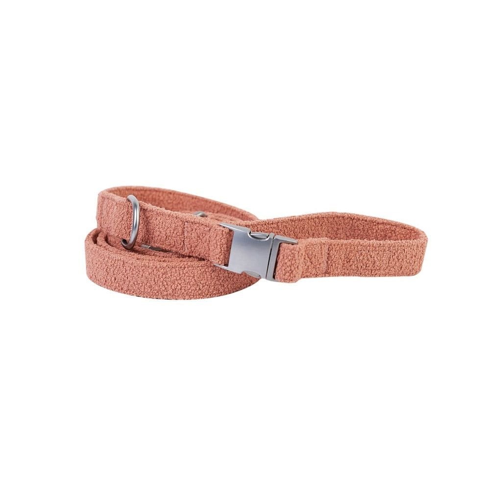 Boucle Leash