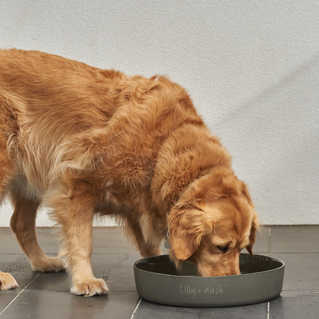 Outdoor Ceramic Water Bowl