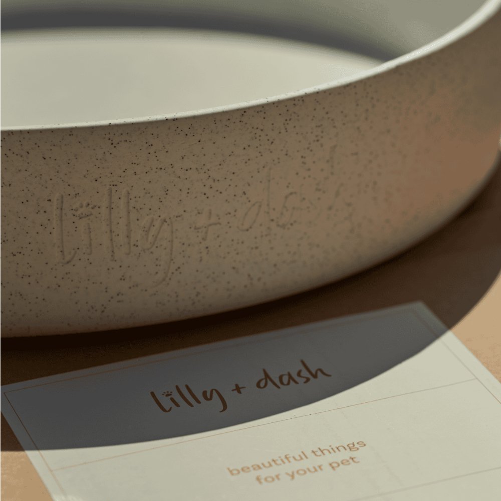 Outdoor Ceramic Water Bowl