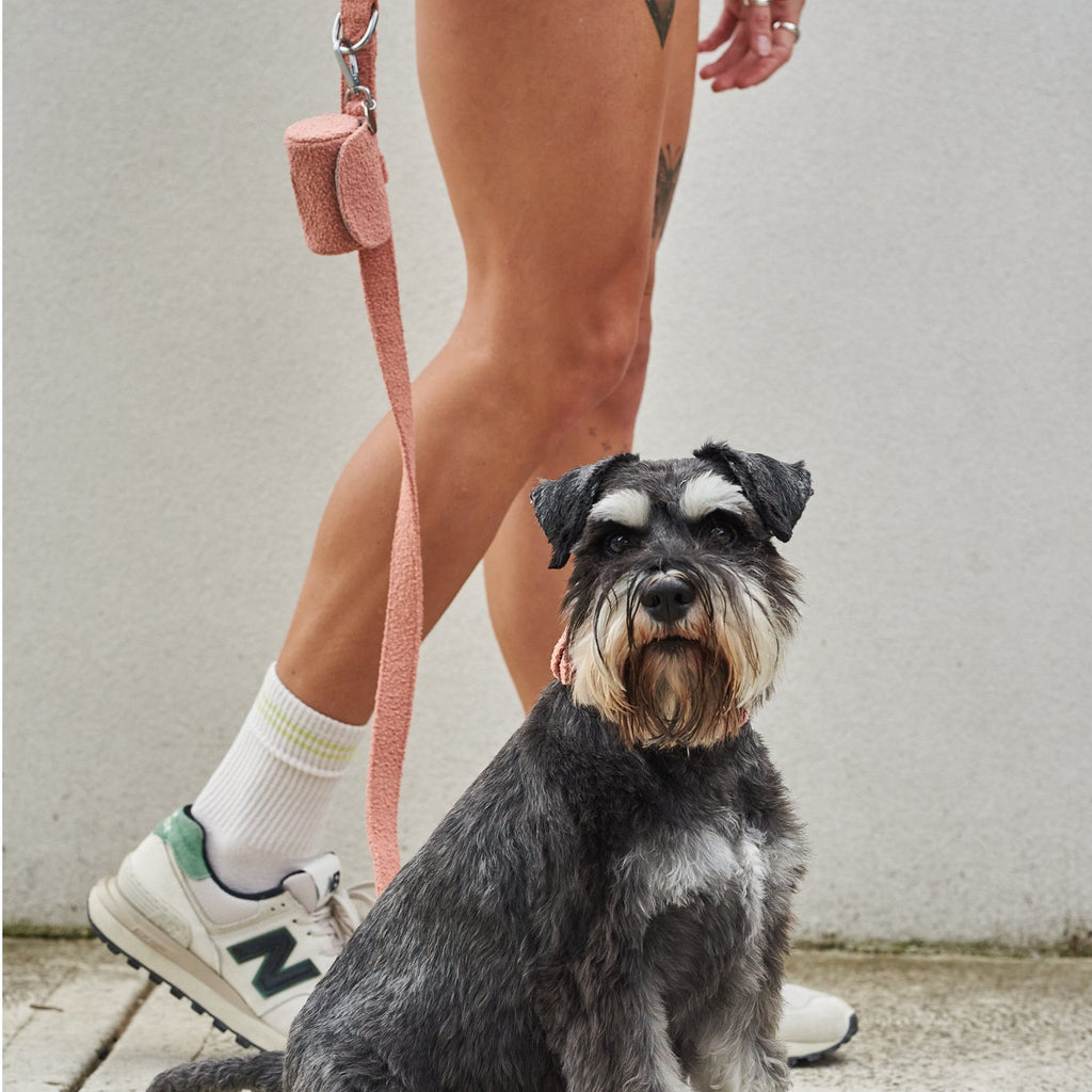 Boucle Poo Bag Holder