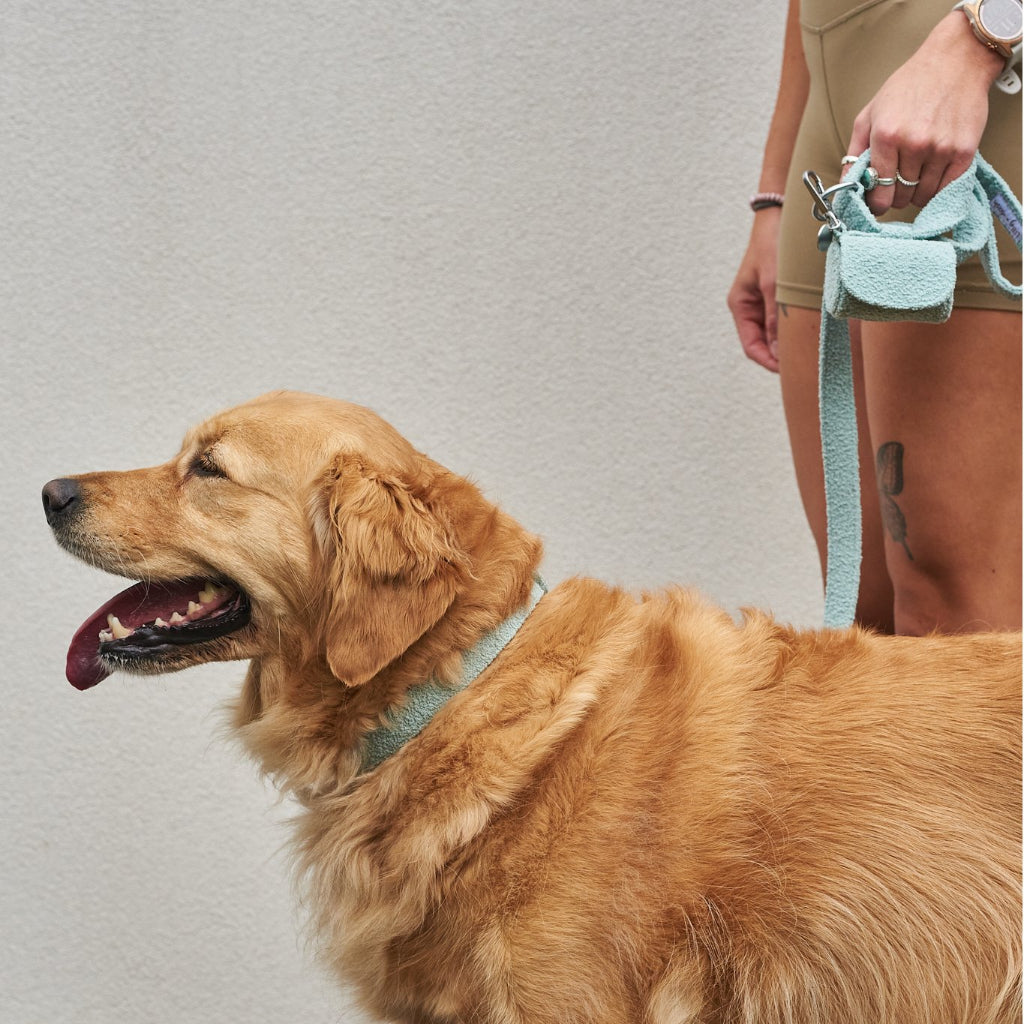 Boucle Poo Bag Holder